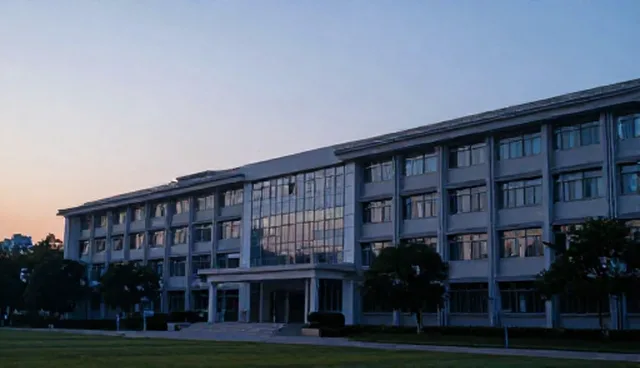 传播方案如何提升品牌新媒体运营效能